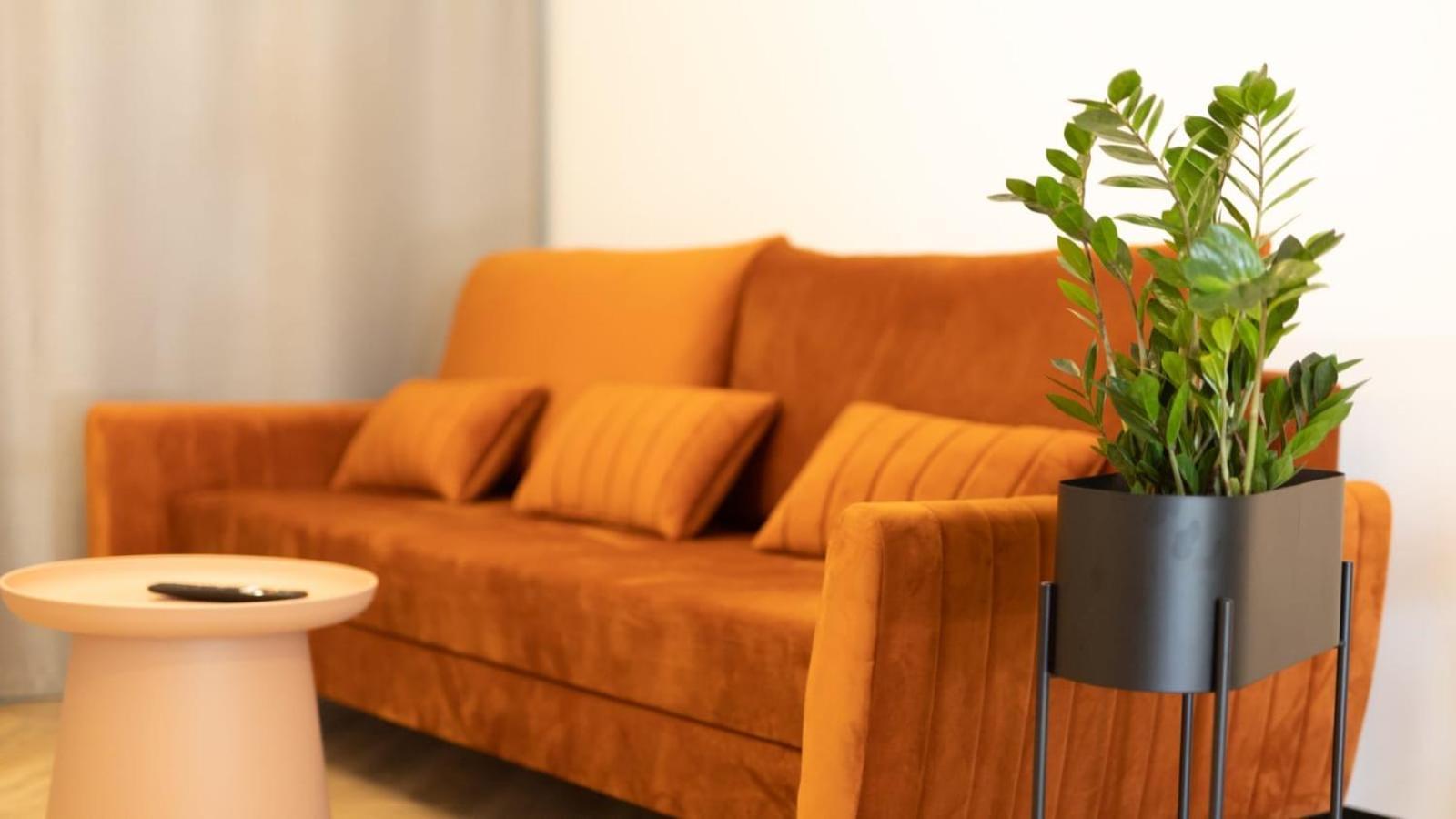 ביאלה פולדאסקה Apartments Abcd מראה חיצוני תמונה